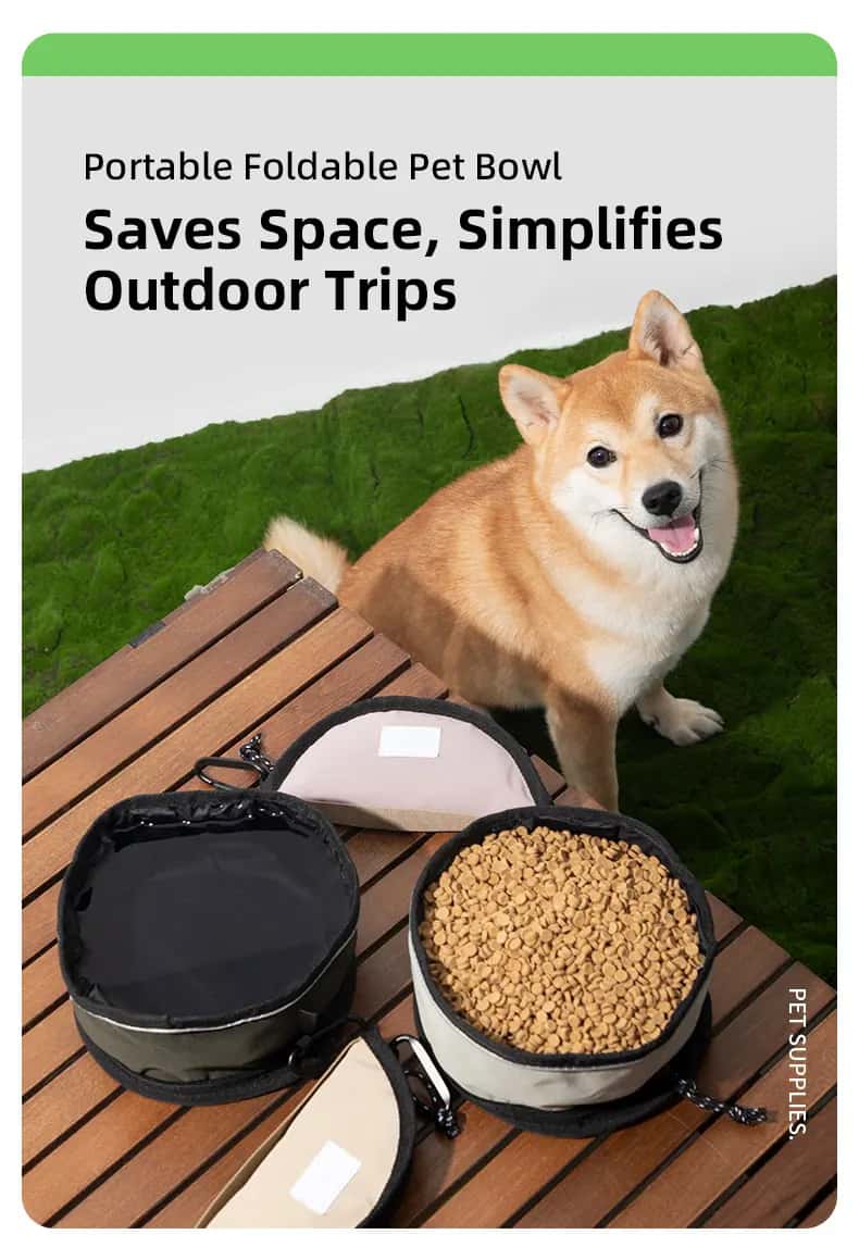 Foldable Pet Water Bowl | Durable 190D Nylon Water
